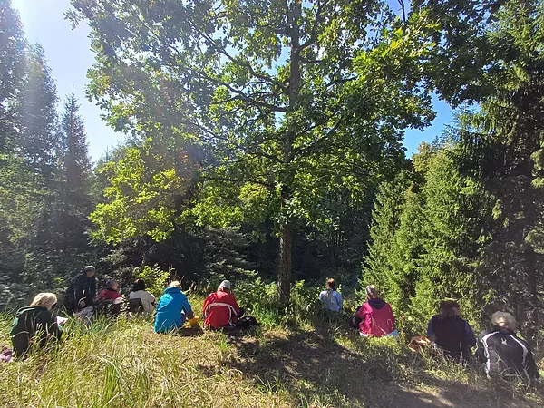 Sēžot kalniņā meditatīvā stāvoklī, ar iekšējo redzi vērojam ielejas seno notikumu nospiedumus