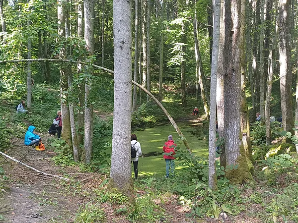 Saelpojamies ar dīķiem, lai sajustu, kādiem dziedināšanas procesiem tie varētu palīdzēt