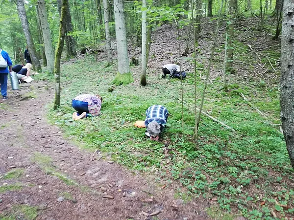 Saelpojamies ar Sēņu rūķiem