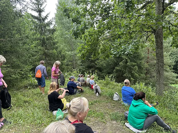 Iekārtojamies kalniņā, lai vērotu ielejas notikumu enerģētiskos nospiedumus