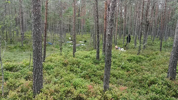 Klausāmies sūnu stāstus