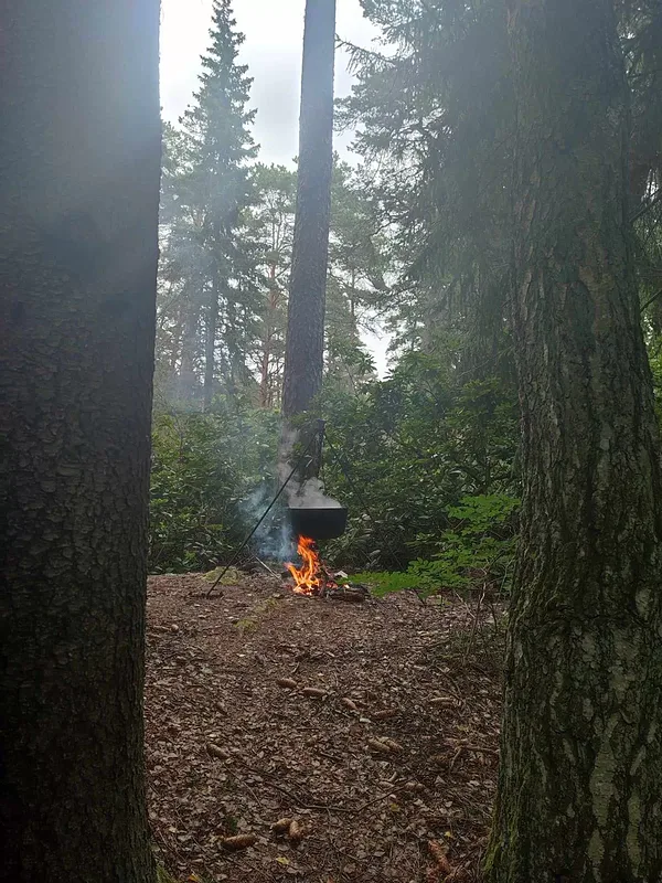 Top tēja - spēka dzēriens meža gaitās